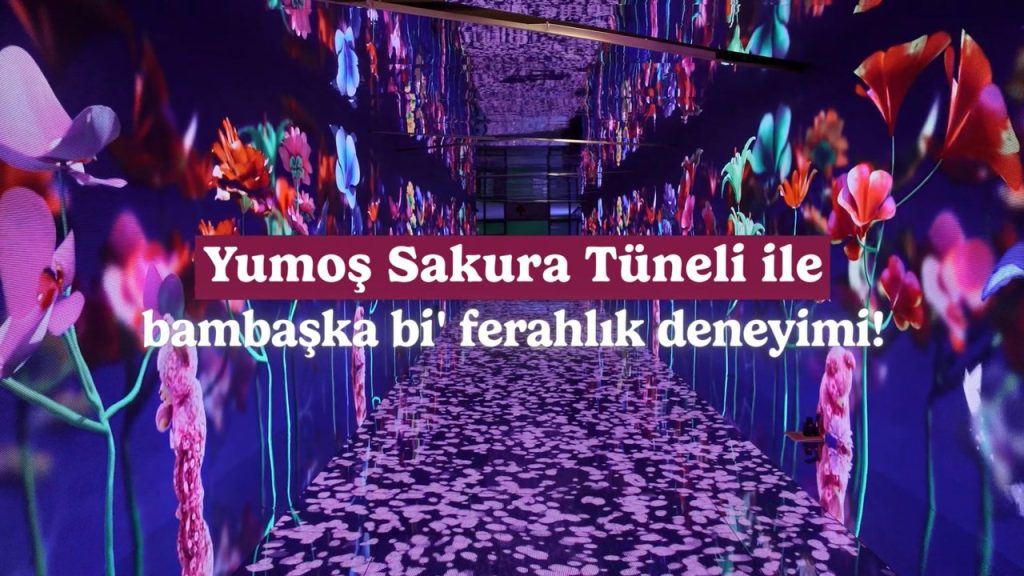 Yumoş – Immersive Tunnel